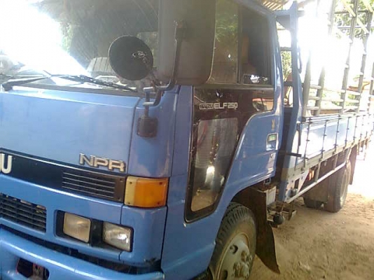 ต้องการขาย / รถ 6 ล้อ ISUZU 115