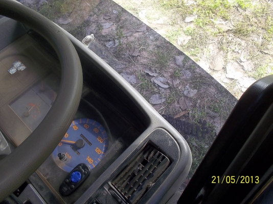 ขาย6ดั้ม  FC4J   ห้างแท้  140 แรง เบรคทริปฟี่