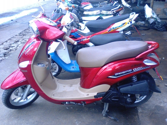 ฟีลาโน่