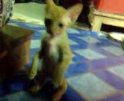 ถังแก๊ส NGV   สภาพสวยๆ  มีมาตรฐาน ไม่เหมือนแบบธรรมดาทั่วไป  พร้อมขายึดถังหนามากๆ ครับ