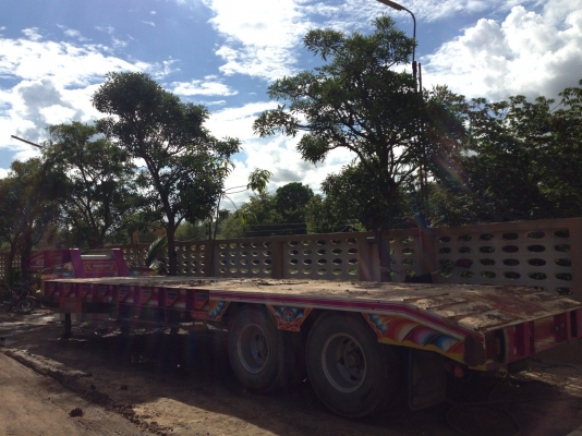 หางท้ายลาด พร้อมขายค่ะ