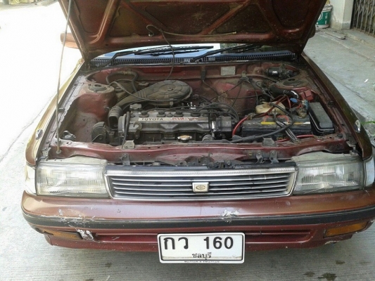 ขาย CORONA 39,000 ชลบุรี