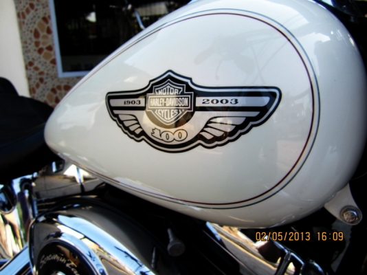 ฮาเล่ fatboy 100 ปี สีเดิม ทะเบียนแท้ สมอ สวยกริฟ