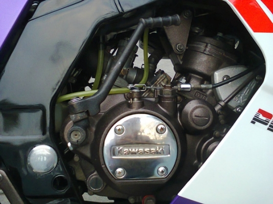 ขาย Serpico สภาพ จบๆ ทะเบียนเต็ม