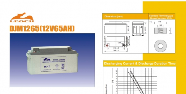 แบตเตอรี่แห้ง สำหรับ UPS LEOCH DJM1265(12V65AH)