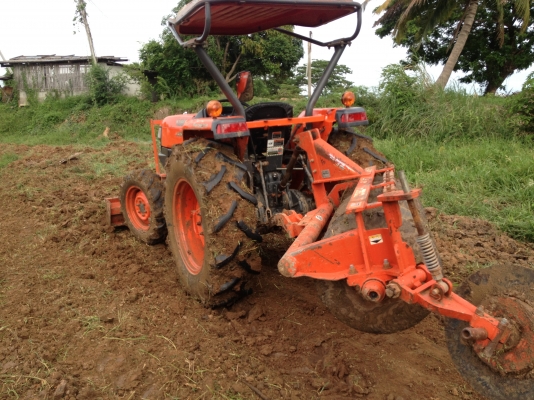 ขาย4508  DI    สวย สีเดิมๆไม่เคยลงนํ้าผาน 6*22 ตราช้างใบสวย