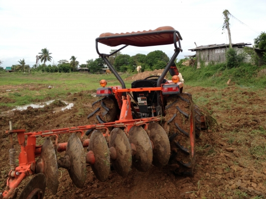 ขาย4508  DI    สวย สีเดิมๆไม่เคยลงนํ้าผาน 6*22 ตราช้างใบสวย