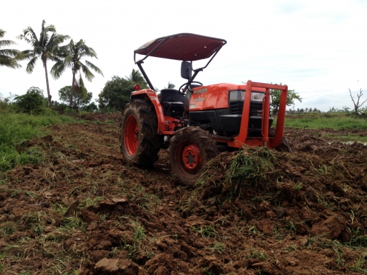 ขาย4508  DI    สวย สีเดิมๆไม่เคยลงนํ้าผาน 6*22 ตราช้างใบสวย