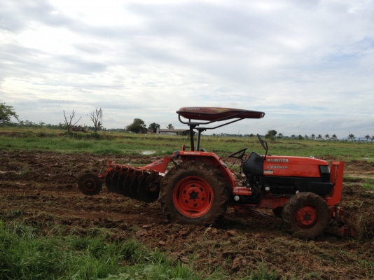 ขาย4508  DI    สวย สีเดิมๆไม่เคยลงนํ้าผาน 6*22 ตราช้างใบสวย