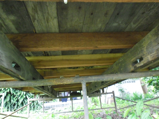 ขาย กระบะ 4 ล้อ สภาพดี มีหลังคา สวยๆ ครับ ขาย กระบะ 4 ล้อ สภาพดี มีหลังคา สวยๆ ครับ