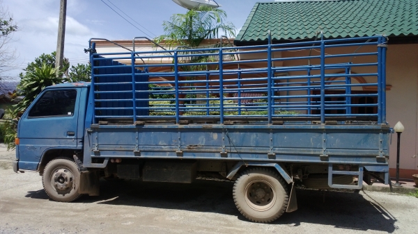 6ล้อรั้วNPR115แรง รถบ้าน เดิมๆ หัวเดิม เครื่อง เกียร์ เดิม รถพร้อมใช้ 6ล้อรั้วNPR115แรง รถบ้าน เดิมๆ หัวเดิม เครื่อง เกียร์ เดิม รถพร้อมใช้