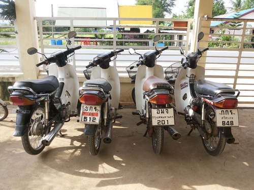 ขายดรีมตูดเป็ดครับ