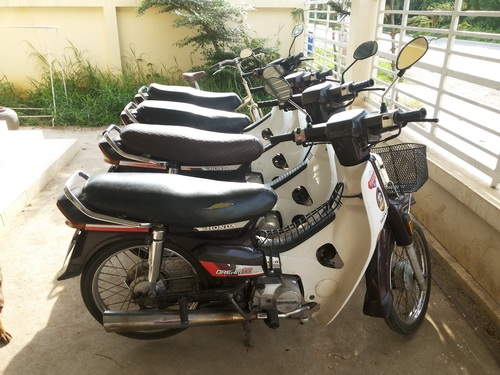 ขายดรีมตูดเป็ดครับ ขายดรีมตูดเป็ดครับ