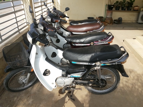 ขายดรีมตูดเป็ดครับ ขายดรีมตูดเป็ดครับ