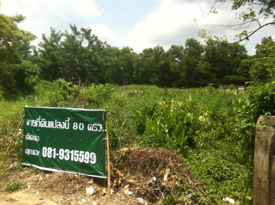 ขายที่ดิน 80 ตรว ติดถนน รังสิต - นครนายก ที่สวยๆ อยู่คลอง 8 ธัญญะ ขายที่ดิน 80 ตรว ติดถนน รังสิต - นครนายก ที่สวยๆ อยู่คลอง 8 ธัญญะ