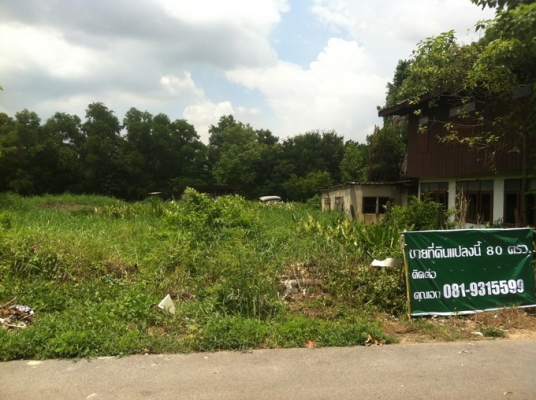 ขายที่ดิน 80 ตรว ติดถนน รังสิต - นครนายก ที่สวยๆ อยู่คลอง 8 ธัญญะ ขายที่ดิน 80 ตรว ติดถนน รังสิต - นครนายก ที่สวยๆ อยู่คลอง 8 ธัญญะ