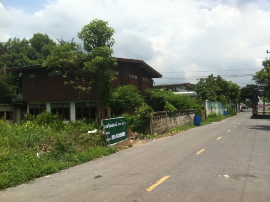 ขายที่ดิน 80 ตรว ติดถนน รังสิต - นครนายก ที่สวยๆ อยู่คลอง 8 ธัญญะ