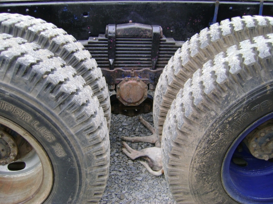 ขายรถสิบล้อ มิตซูบิชิยูโร วัน