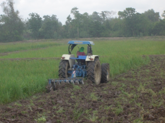 ขายรถไถฟอร์ดสองเพลา