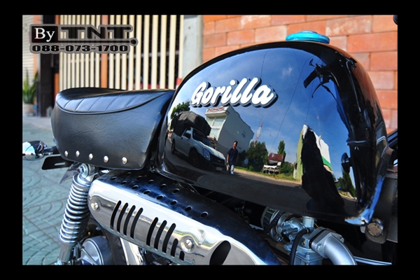 <TNT> กอลิล่า พ่วงข้าง(Side Car)....น่ารักๆแนวๆ