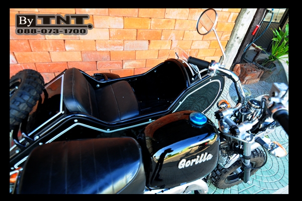 <TNT> กอลิล่า พ่วงข้าง(Side Car)....น่ารักๆแนวๆ