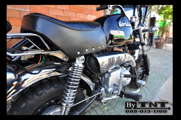 <TNT> กอลิล่า พ่วงข้าง(Side Car)....น่ารักๆแนวๆ