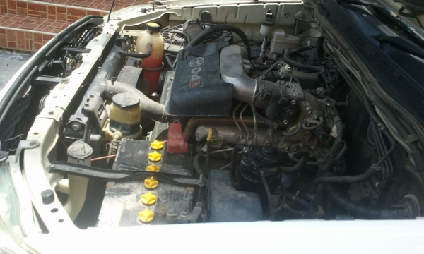 ขายแล้ว