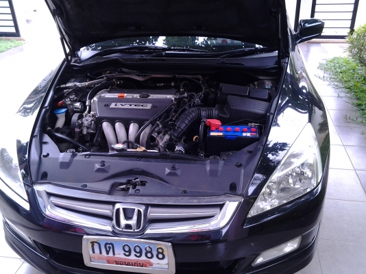 ขายปลาวาฬ