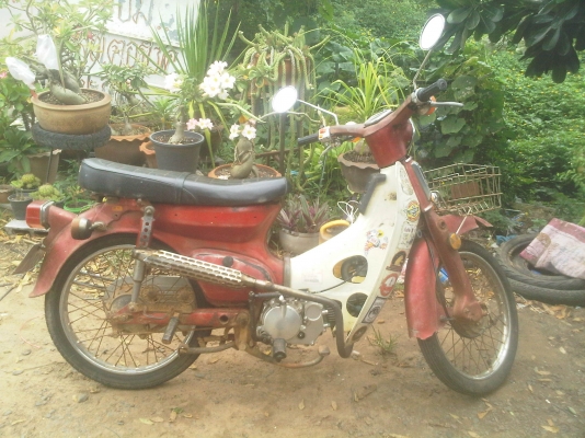 แลก/ขาย c90 แท้ ทะเบียน เดิมๆแห้งๆ 10000 ติดง่าย