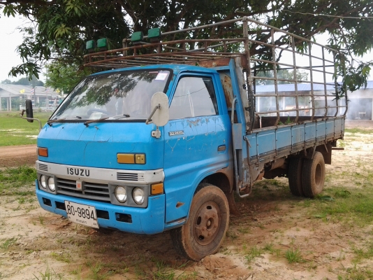 ISUZU TL100 แรง 4bc2 ฝาดำ กะบะยาว 4.3 เมตรพร้อมคอกแปปอย่างงาม ภายในสวย