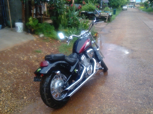 steed 400cc