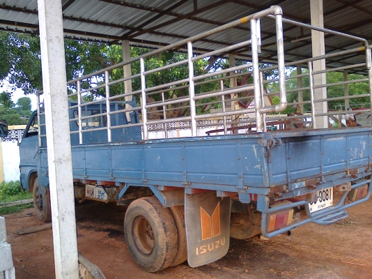 ISUZU TL85 กะบะยาว 4.3 เมตรพร้อมคอกแปปอย่างงาม ภายในสวย เพาเวอร