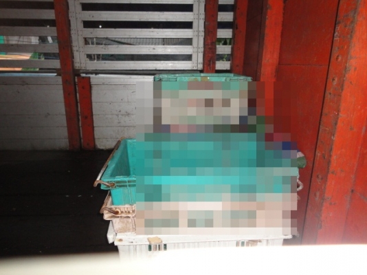 HINO FL3H 195 แรงม้า หัวบางเดิม เครื่องเดิม คัซซีสวยตลอดแนวค่ะ HINO FL3H 195 แรงม้า หัวบางเดิม เครื่องเดิม คัซซีสวยตลอดแนวค่ะ