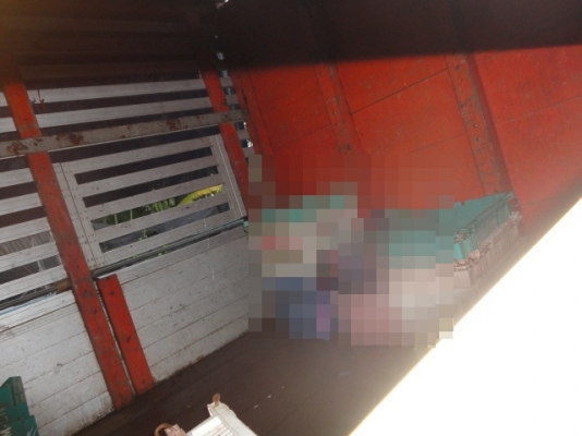 HINO FL3H 195 แรงม้า หัวบางเดิม เครื่องเดิม คัซซีสวยตลอดแนวค่ะ HINO FL3H 195 แรงม้า หัวบางเดิม เครื่องเดิม คัซซีสวยตลอดแนวค่ะ