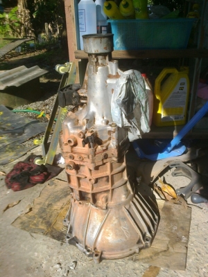 ขายเกียร์ไมตี้ X