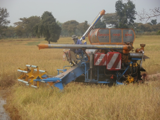 ขายรถเกี่ยวข้าว