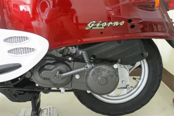 Honda Giorno 50cc ประกอบใหม่ งานคุณภาพ (สีแดงเลือดนก)