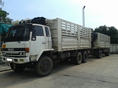 ขาย ROCKY 240 หัวขาว 2 เพลา คอก แม่-ลูก