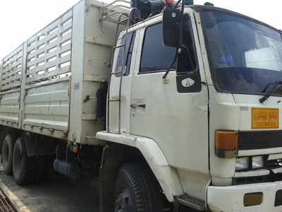 ขาย ROCKY 240 หัวขาว 2 เพลา คอก แม่-ลูก ขาย ROCKY 240 หัวขาว 2 เพลา คอก แม่-ลูก