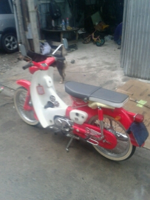 -฿-฿-฿-฿-ขาย c65y ทะเบียเต็มพร้อมโอน-฿-฿-฿-฿-