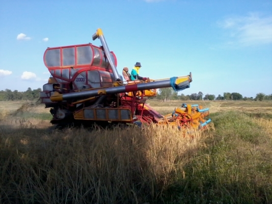 รับจองรถเกี่ยวข้าว ศักดิ์พัฒนา KM 47 12 HT  Dykin 23  JO8C