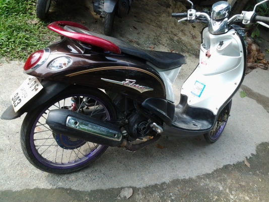 ขายฟีโน่  รถบ้าน รถแท้