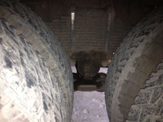 รถอีซูซุ 10 ล้อ รั่ว FVM 175 แรงม้า ( มีขาย 2 คัน ) สนใจติดต่อ 081-6079515 รถอีซูซุ 10 ล้อ รั่ว FVM 175 แรงม้า ( มีขาย 2 คัน ) สนใจติดต่อ 081-6079515