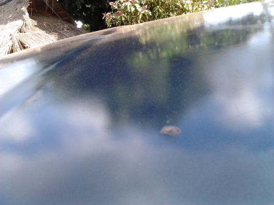 ขาย กระบะแค็ป ไมตี้เอ็กซ์ 2.5 ปี36/93 เครื่องแน่นๆ พ.พาวเวอร์ เครื่องเสียง ดอก10" ช่วงล่างแจ่ม คัสซีสวย สีดี มีแตกบ้าง ยางดี พื้นกระบะมีผุ พร้อมใช้งาน ***ขายแล้วครับ ขอบคุณ Truck2hand