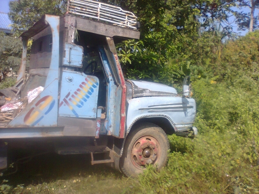 ขายรถหัวยาวเทเลอร์สิบล้อหางปลาขึ้นแม๊คโคและรถเกี่ยว