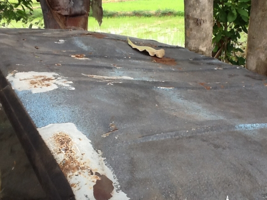 ขายด่วนของฝากนักปั้น หัว NKR ขายตามสภาพ