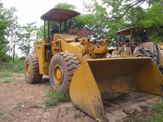 รถตัก TCM Mod.75B MICHIGAM