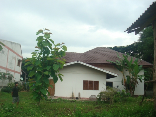 ขายบ้านพร้อมที่ดิน ลำปาง หลายหลังค่ะ