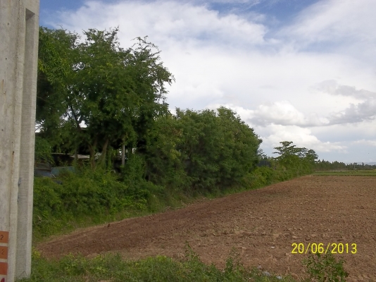 ขอโทษทีครับขายที่ดินที่ทำเลดี ติดถนนใหญ่  หน้าทาง  33เเตร สายโชคชัย-เดชอุดม