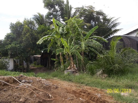 ขอโทษทีครับขายที่ดินที่ทำเลดี ติดถนนใหญ่  หน้าทาง  33เเตร สายโชคชัย-เดชอุดม